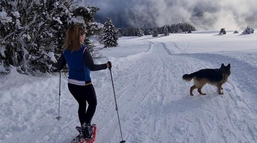 Affittacamere Dolce Sogno Coredo Dış mekan fotoğraf