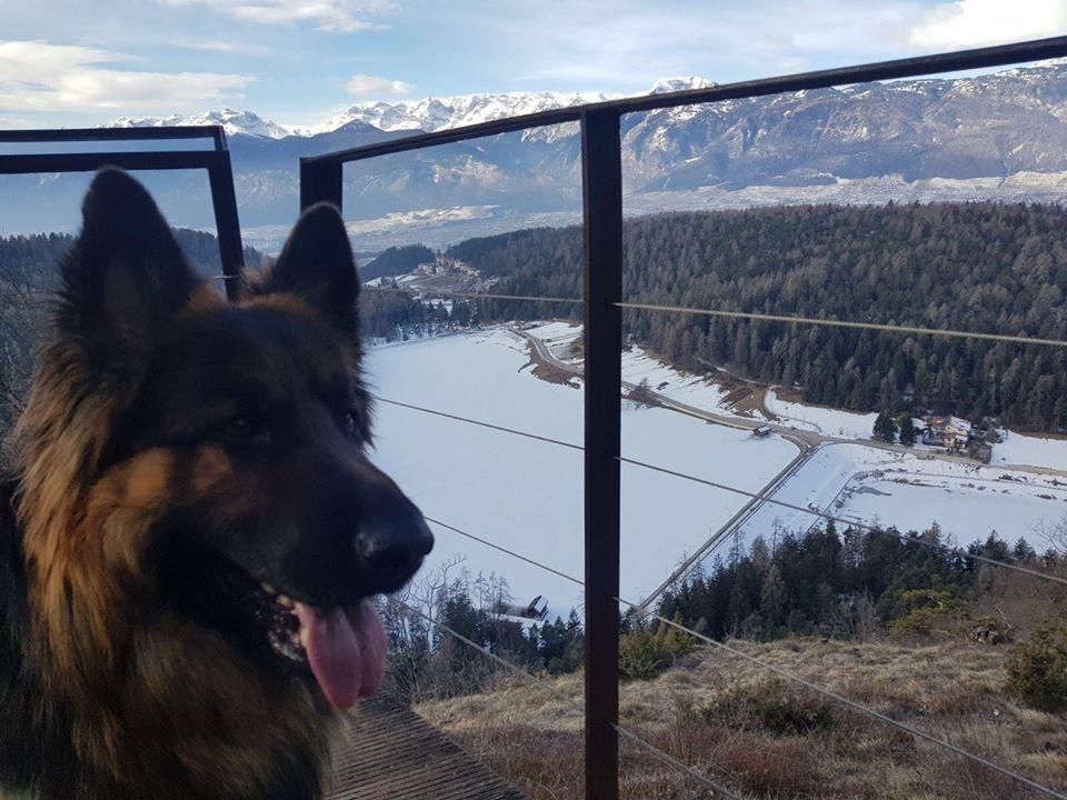 Affittacamere Dolce Sogno Coredo Dış mekan fotoğraf