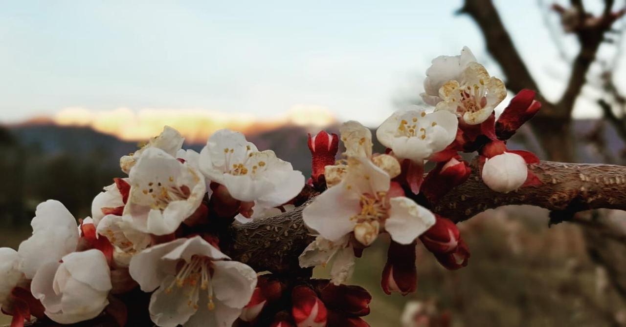 Affittacamere Dolce Sogno Coredo Dış mekan fotoğraf