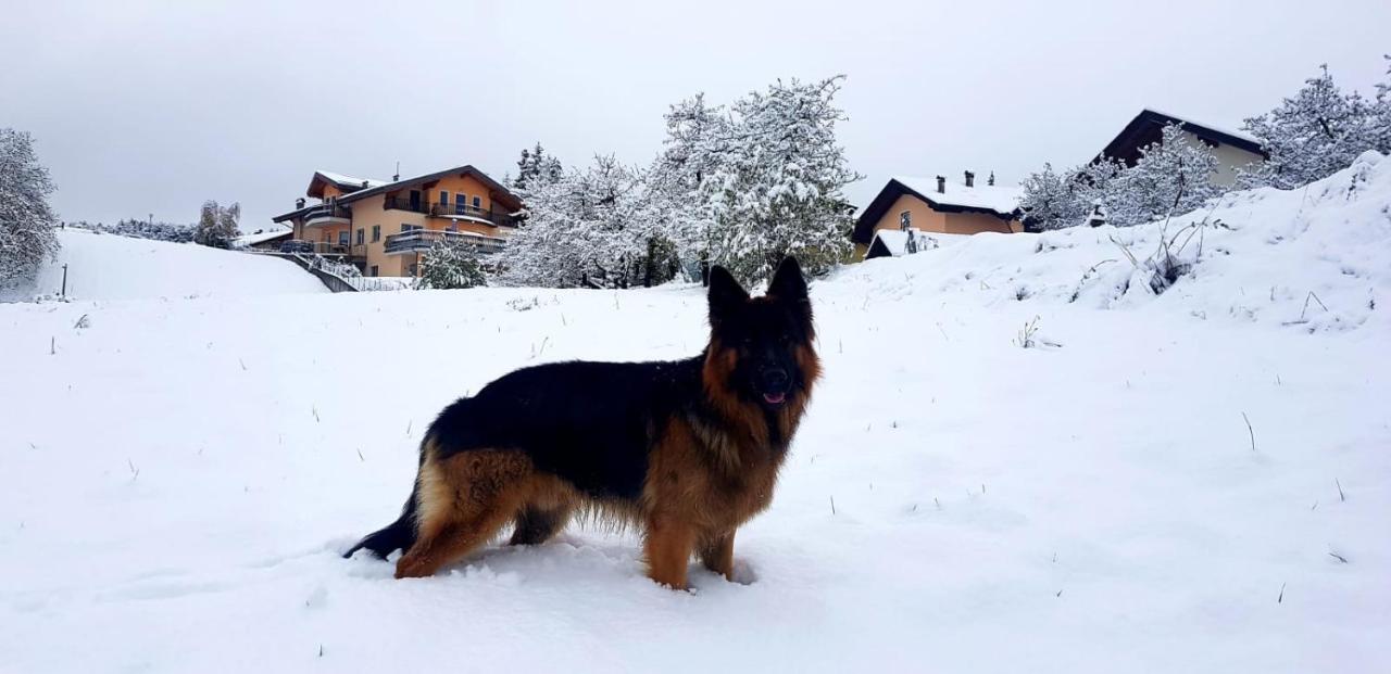 Affittacamere Dolce Sogno Coredo Dış mekan fotoğraf